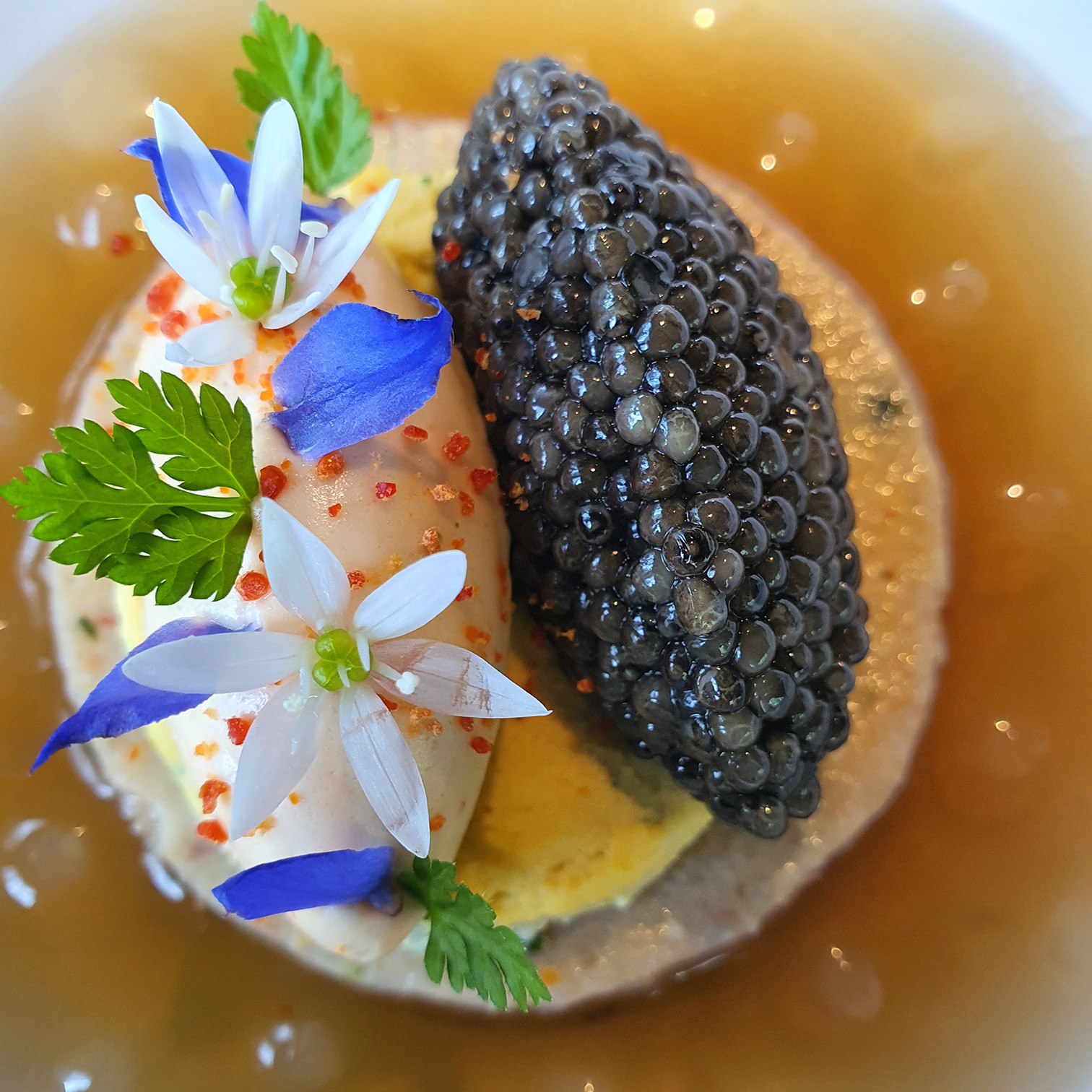 Château De Vault-de-Lugny