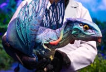 The Grand Finale of D23 Expo: A Celebration of Disney Legends, Immersive Experiences, and Exclusive Reveals Avatar Pavilion at D23 Expo 2024 (Photo by Julie Nguyen)