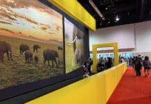 Day 2 Highlights from D23: Exciting Announcements and Panels at Honda Center and Anaheim Convention Center National Geographic Hexadome at D23 Expo 2024 (Photo by Julie Nguyen)