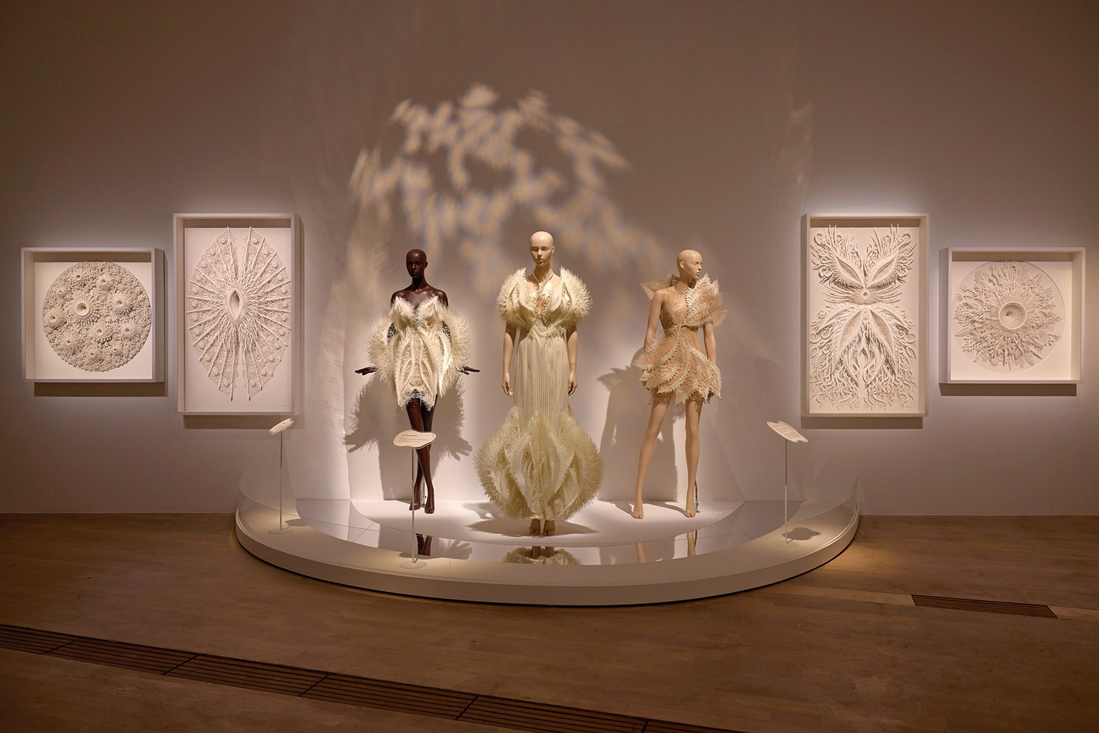 A look into the Forces Behind the Forms zone