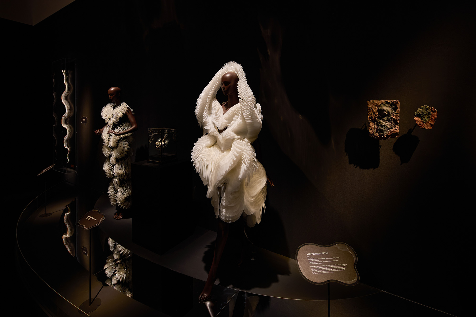 Morphogenesis dress (2020)