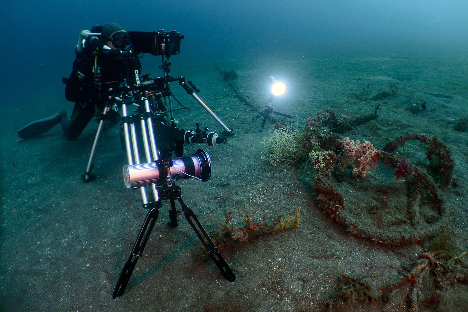 Cinematographer Roger Munns sets up filming equipment on the sea floor to film a hairy frogfish lying in wait. 