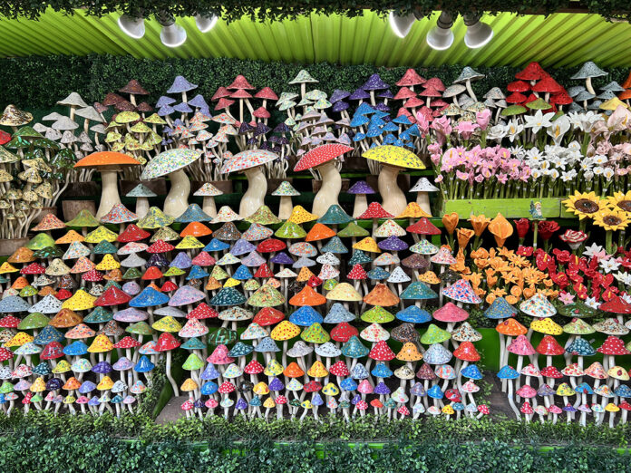 2025 Sawdust Art Festival (Photo by Julie Nguyen)