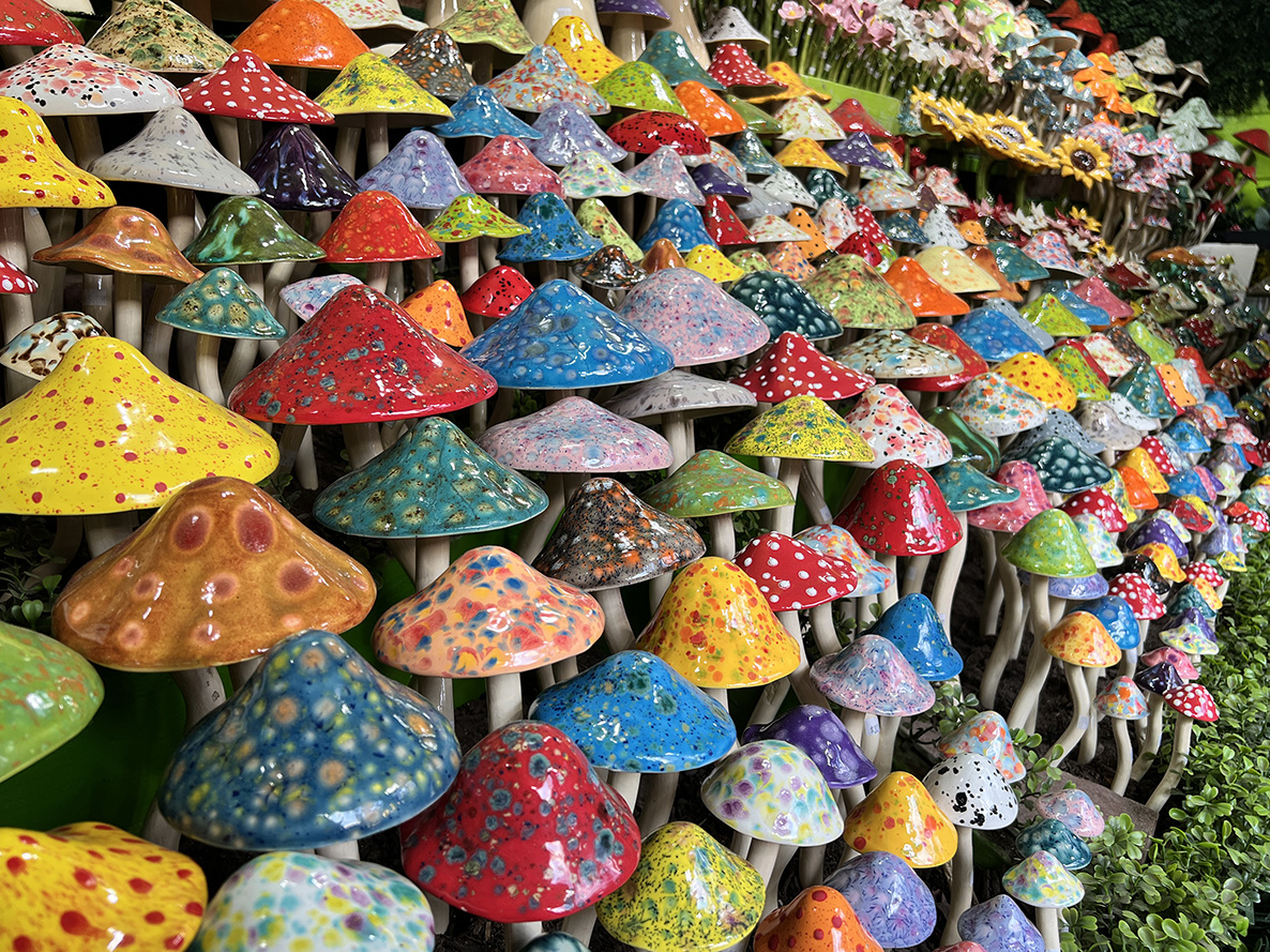 2025 Sawdust Art Festival (Photo by Julie Nguyen)