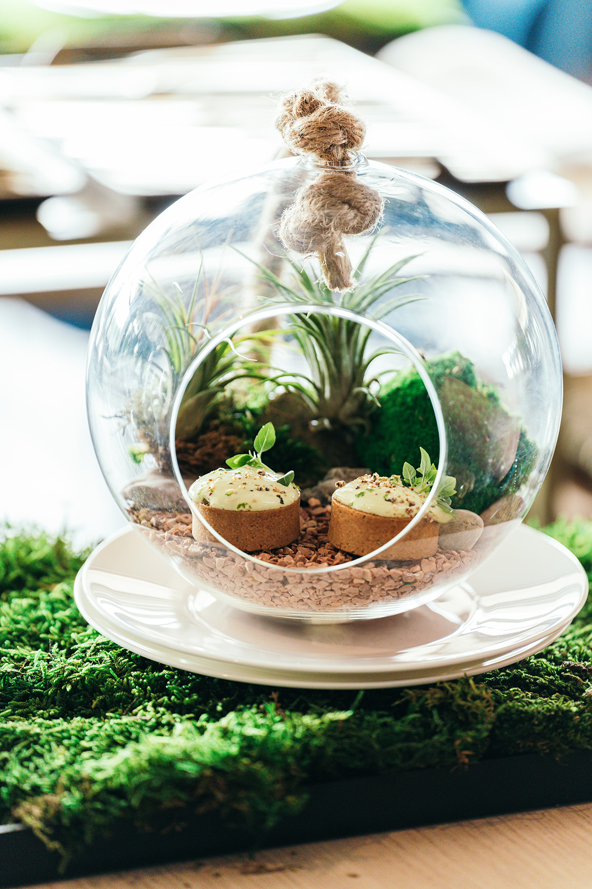 Tomorrowland 2024 Dining