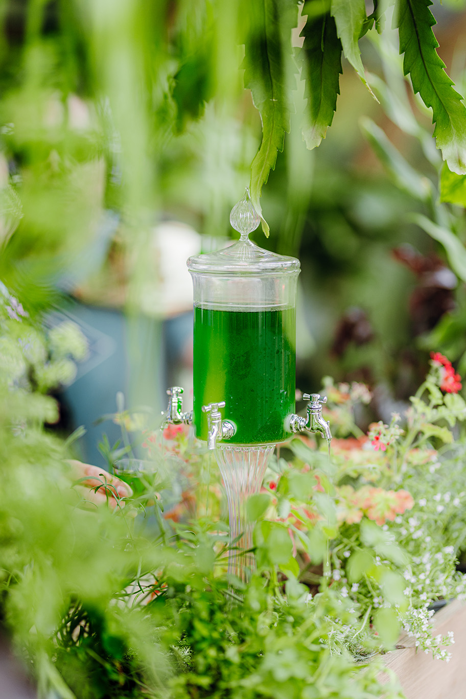 Tomorrowland 2024 Dining