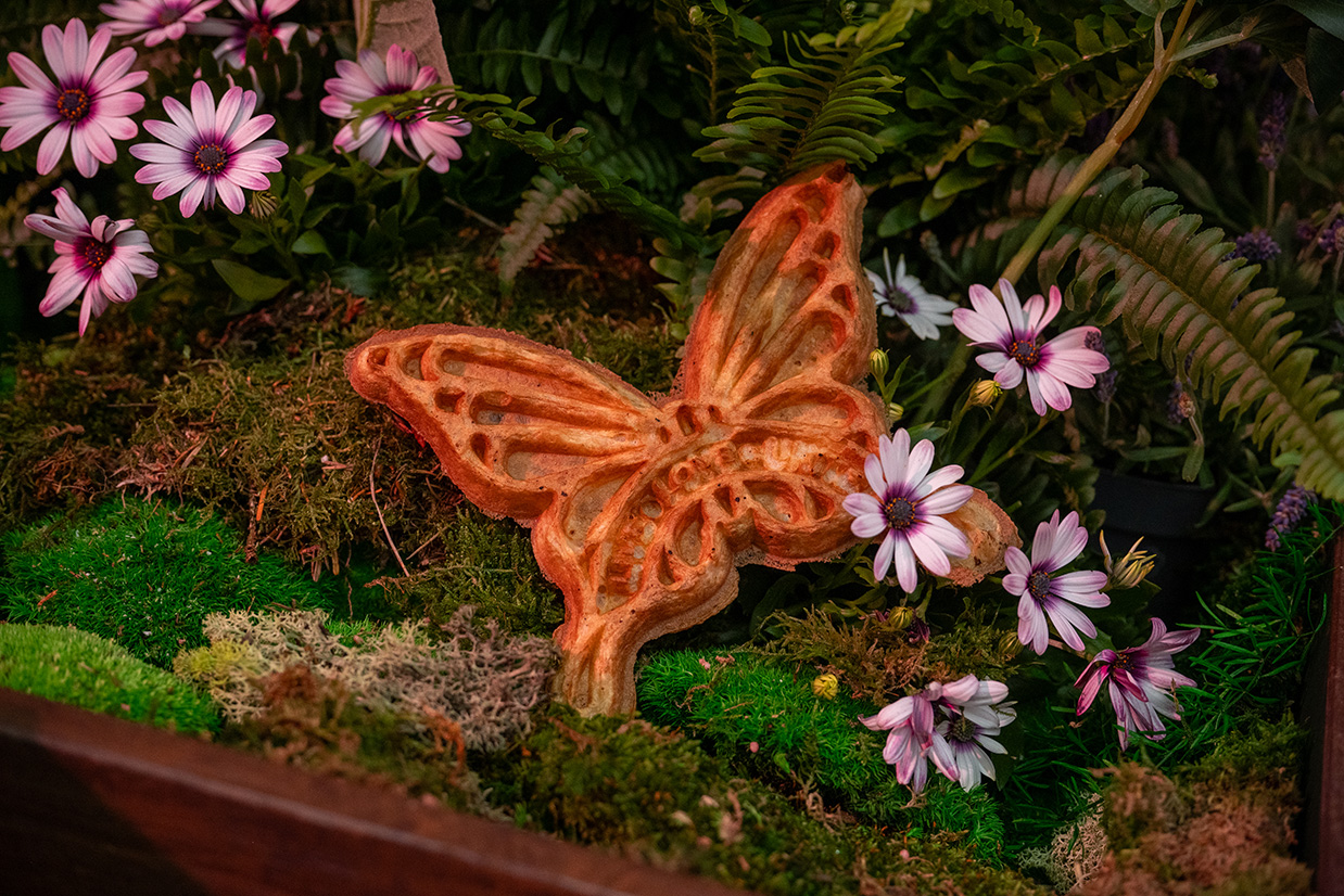 Tomorrowland 2024 Dining