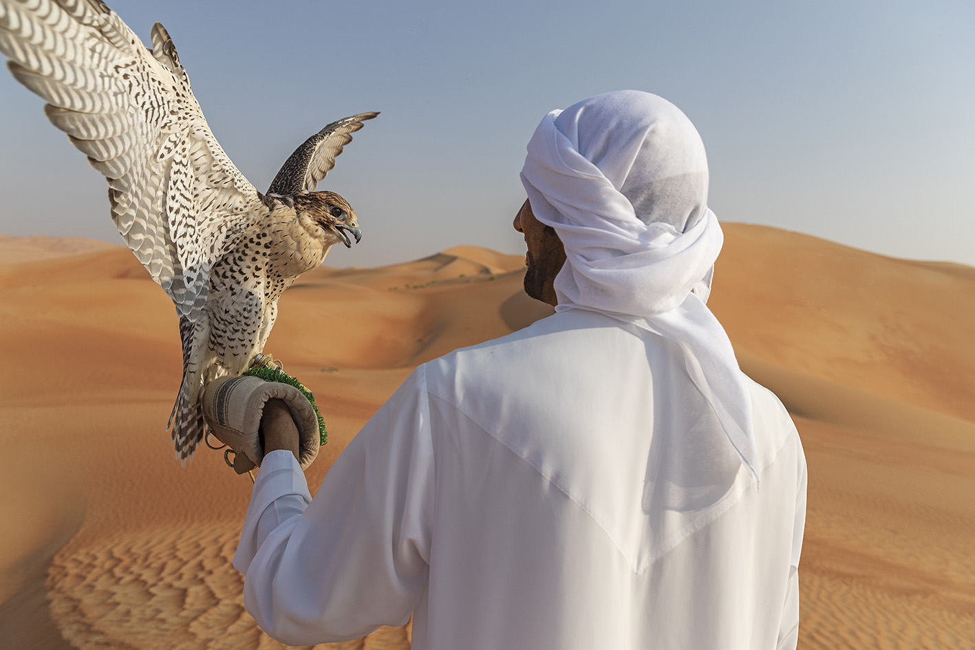 Qasr Al Sarab Desert Resort by Anantara 