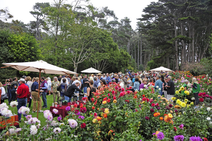 Winesong, Fort Bragg 