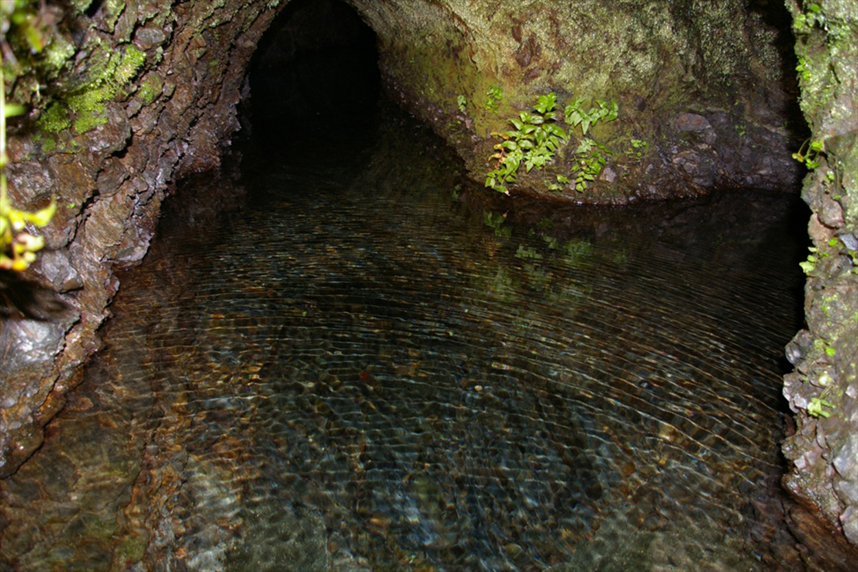 Well water to brew sake here