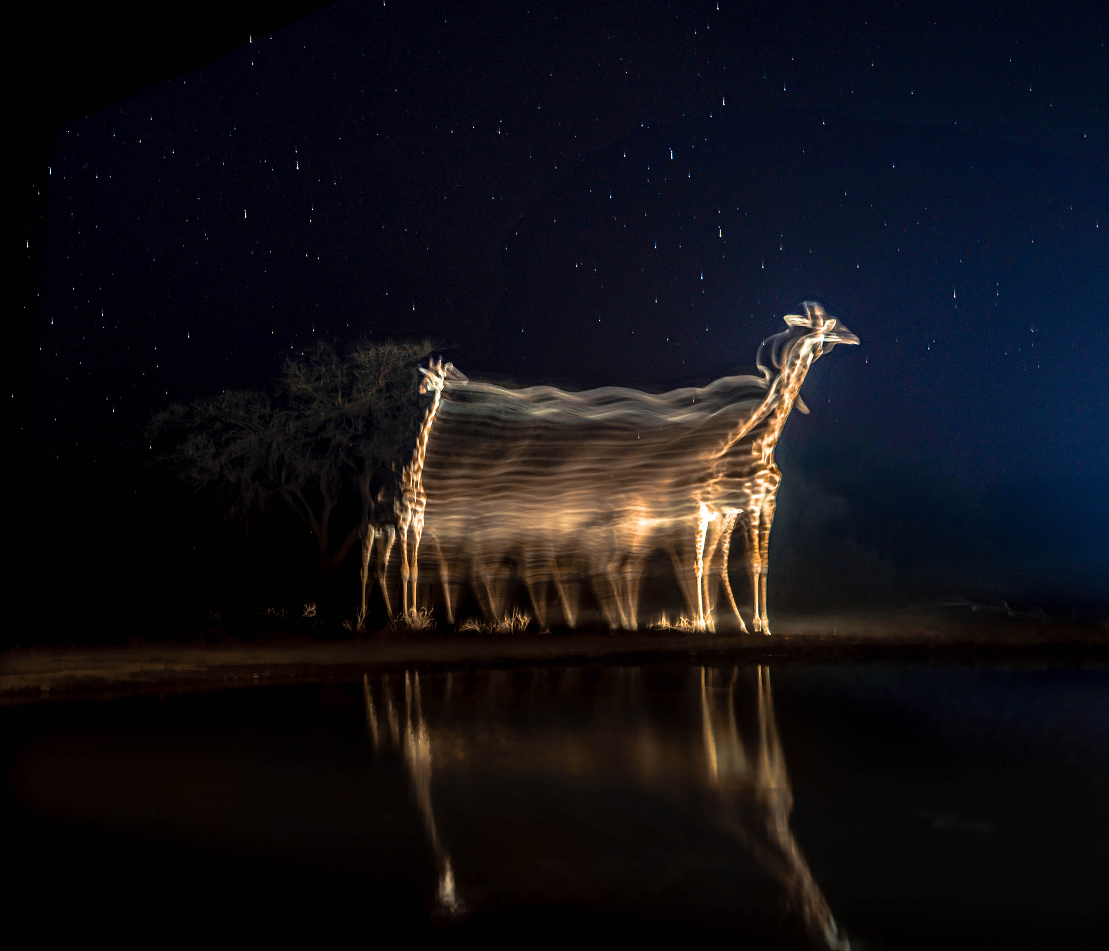 Sony World Photography Awards 2026