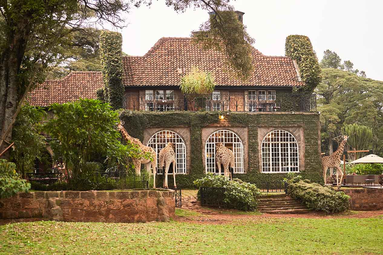 Giraffe Manor