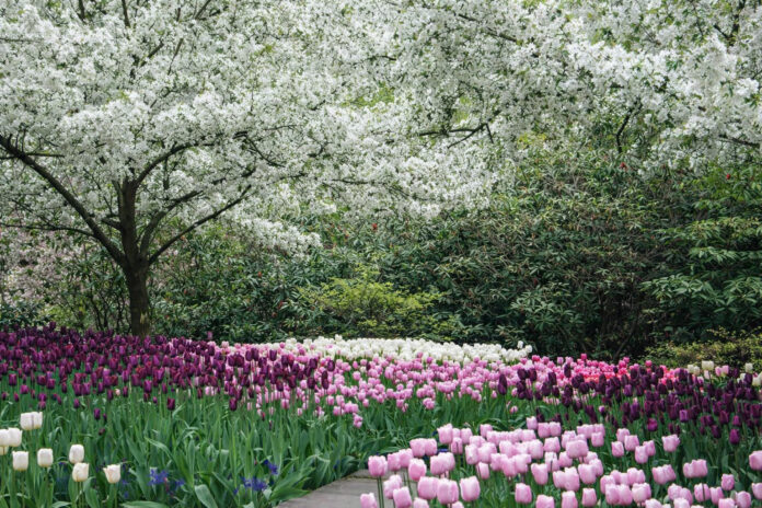 The White Garden - Westchester County