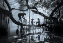 Fishing Together - © Kyaw Zayar Lin, Myanmar, Winner, National Awards, Sony World Photography Awards 2026