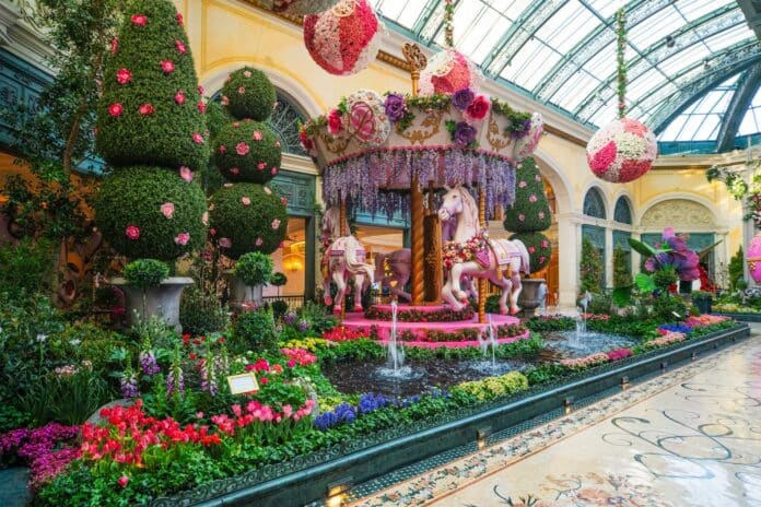 Bellagio Conservatory - 2026 Spring Display - South Bed