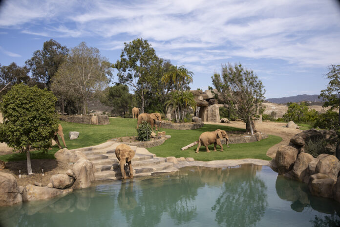 San Diego Zoo Safari Park
