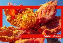 NVIDIA Adobe