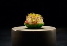 FZN by Björn Frantzén