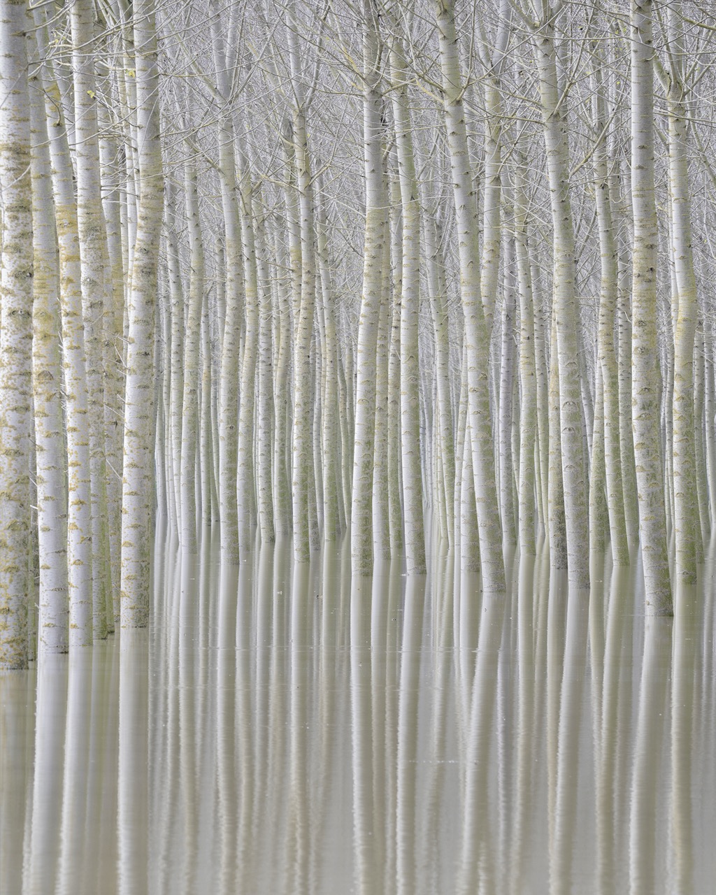 LANDSCAPE Rohan Reilly