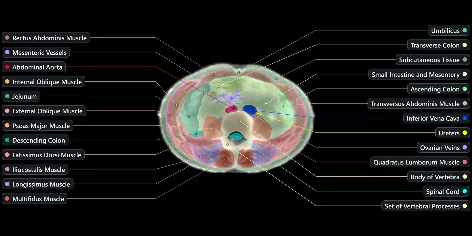 Midjourney Scanner