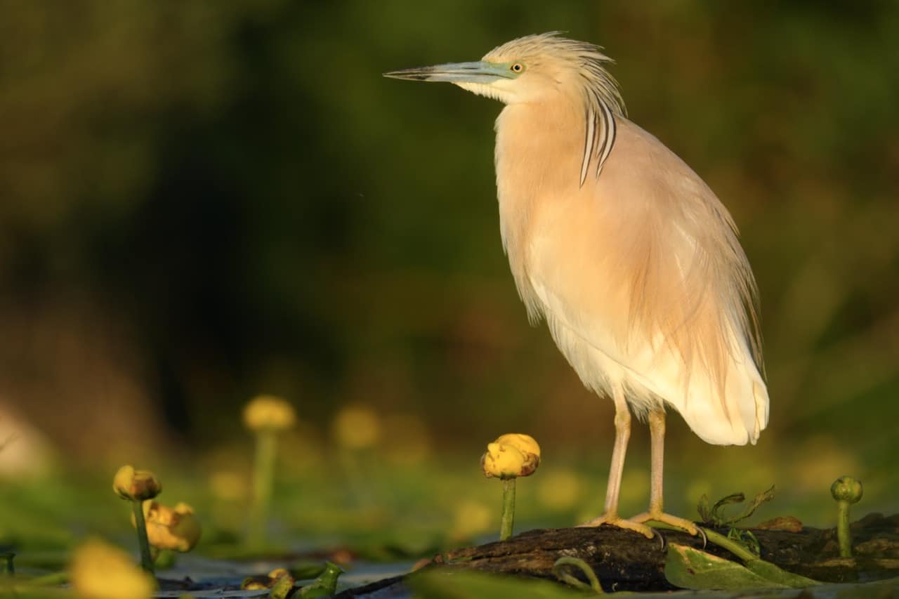 Sony RX10 V Camera Sample Image