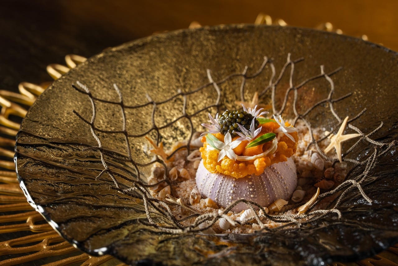 TCOLV - é by José Andrés -Tortillita